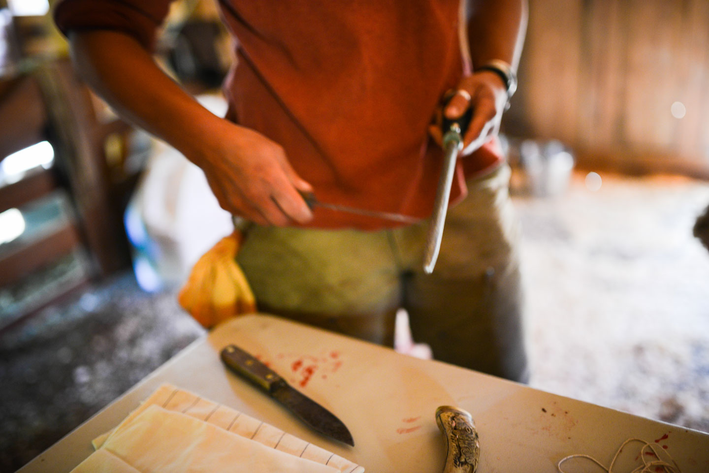 Lamb harvest, knife sharpening