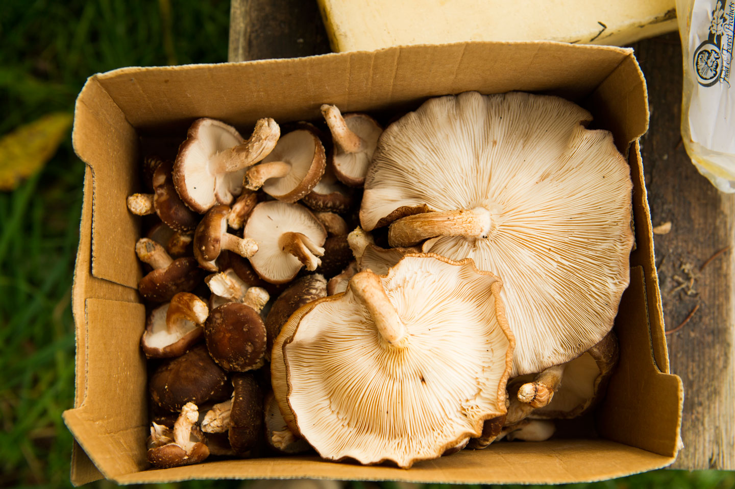 Box of shiitakes